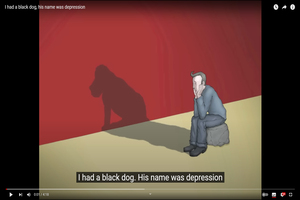 Video Link about depression: www.mindsnaps.co.uk 